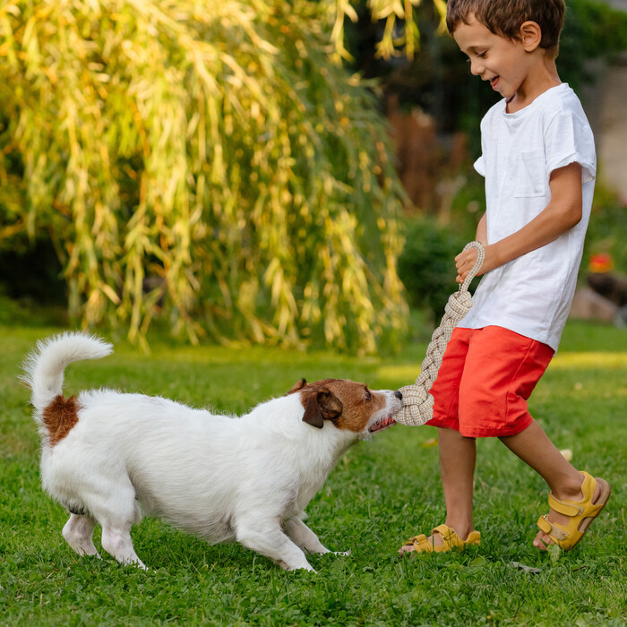 Relaxdays Hundespielzeug Set 7-teilig