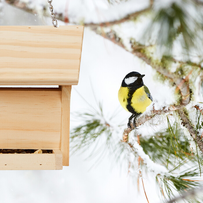 Relaxdays Vogelfutterhaus aus Holz