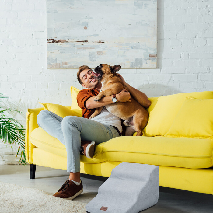 Relaxdays Hundetreppe mit 3 Stufen