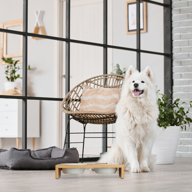 Relaxdays Futterstation für Hunde