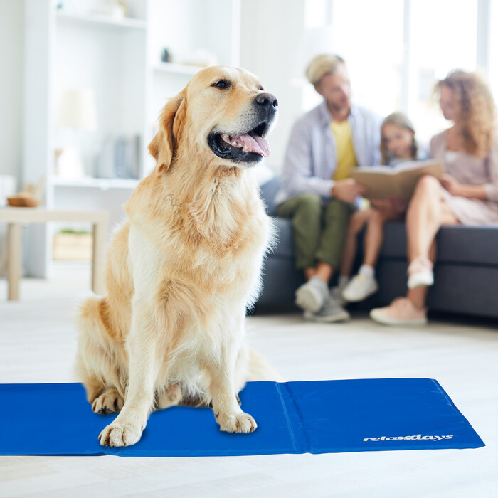 Relaxdays Blaue Kühlmatte für Hunde