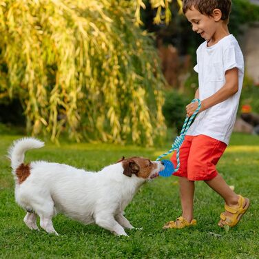 Relaxdays Hundespielzeug Ball, 3er Set, Ø 8,5 cm, Zahnpflege, blau (max. 50 Zeichen)