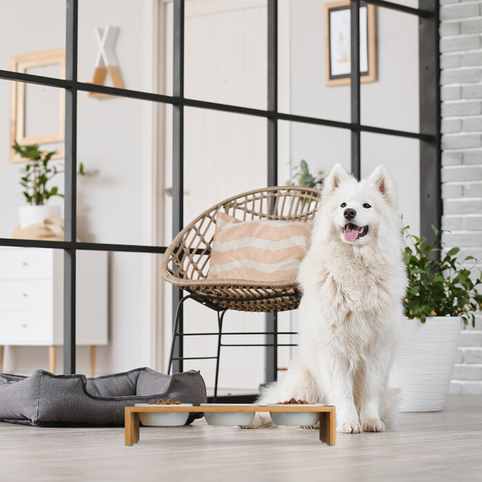 Relaxdays Futterstation für Hunde
