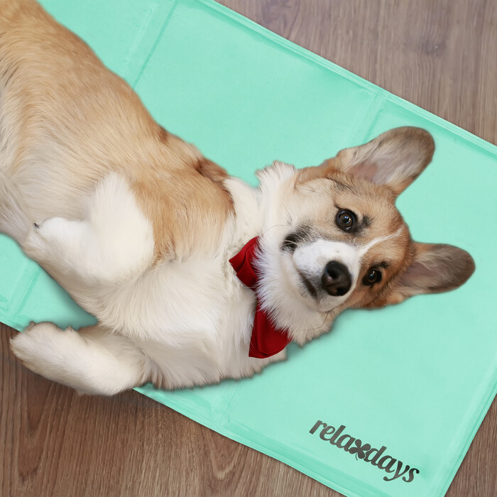 Relaxdays Türkise Kühlmatte für Hunde