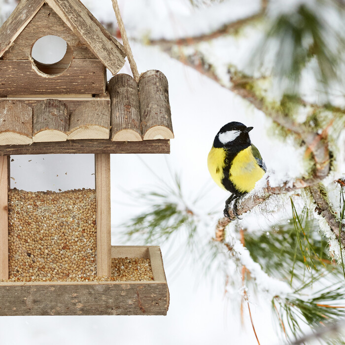 Relaxdays Vogelfutterhaus zum Aufhängen