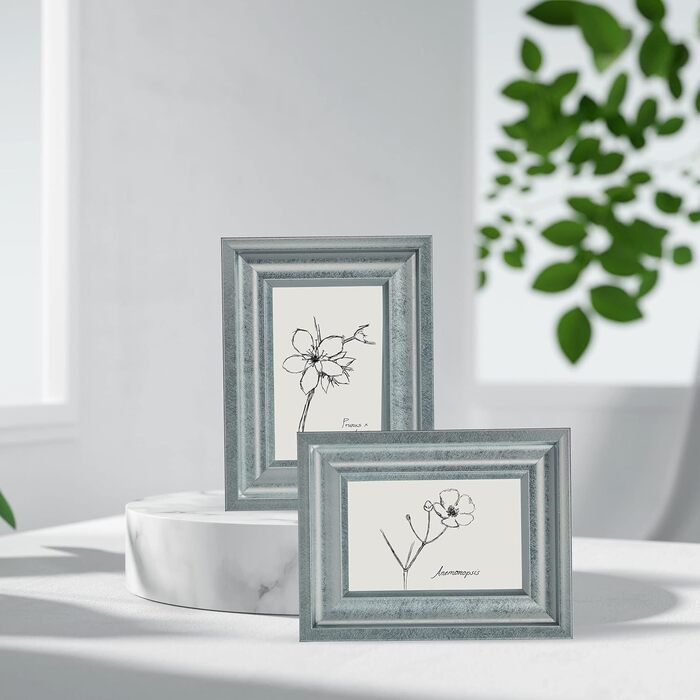 Relaxdays Bilderrahmen 2er Set, 10x15 cm, Hoch- & Querformat, silber