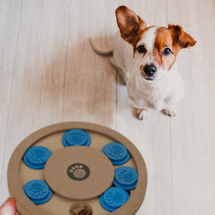 Relaxdays Intelligenzspielzeug für Hunde