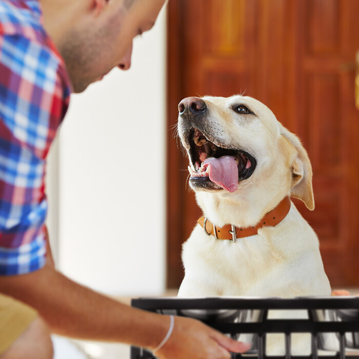 Relaxdays Futterstation für Hunde