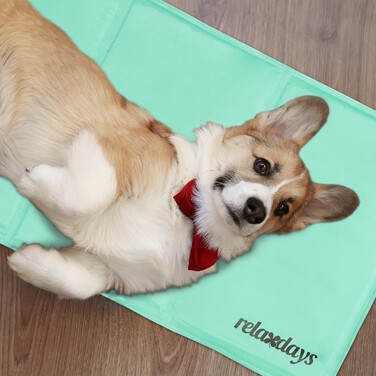 Relaxdays Türkise Kühlmatte für Hunde