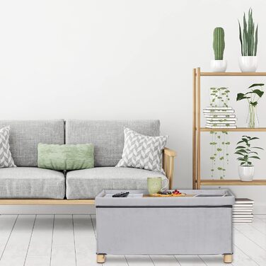 Relaxdays Sitzbank mit Stauraum, Samt, Holzfüße, 120 kg, faltbar, 34x76x38 cm, Hellgrau