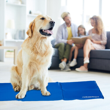 Relaxdays Blaue Kühlmatte für Hunde