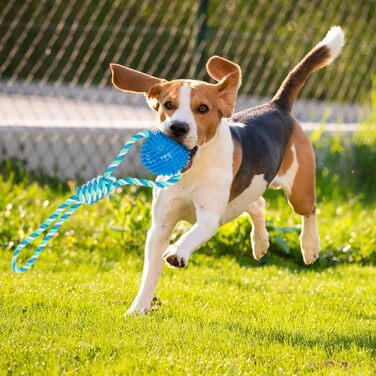Relaxdays Hundespielzeug Ball, 3er Set, Ø 8,5 cm, Zahnpflege, blau (max. 50 Zeichen)