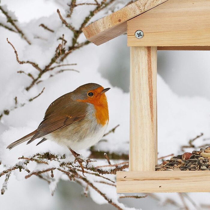 Relaxdays Vogelhaus, unbehandeltes Holz, kleines Vogelfutterhaus (60 Zeichen)