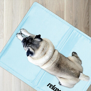 Relaxdays Hellblaue Kühlmatte für Hunde