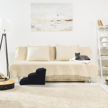 Relaxdays Hundetreppe mit 3 Stufen