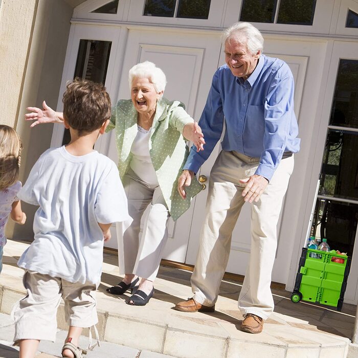 Relaxdays Einkaufstrolley klappbar, Teleskop-Griff, 2 Gummi Rollen, bis 35 kg, Shopping Trolley, Aluminium, ABS, blau