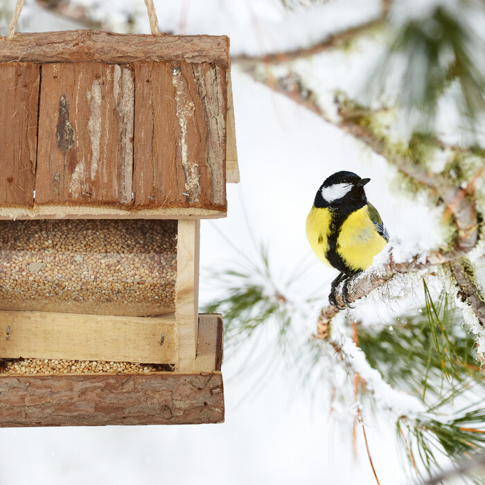 Relaxdays Vogelfutterhaus zum Aufhängen