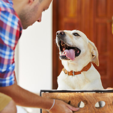 Relaxdays Futterstation 'Woof' für Hunde