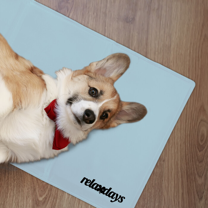 Relaxdays Kühlmatte Hund grau