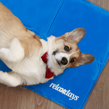 Relaxdays Blaue Kühlmatte für Hunde
