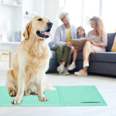 Relaxdays Kühlmatte Hund, 60 x 100 cm, selbstkühlende Hundematte, Gel, abwischbar, Kühlunterlage für Haustiere, türkis türkis 60 x 100 cm