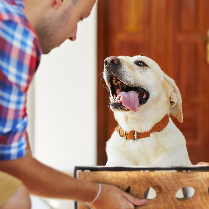 Relaxdays Futterstation 'Woof' für Hunde