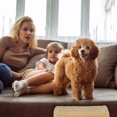 Relaxdays Hundetreppe 3 Stufen, kleine & große Hunde, Bett & Couch, Stoffbezug, Tiertreppe innen, HBT 30x35x45 cm, (beige, 30 x 35 x 45 cm)